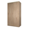 Шкаф-купе Клэр 1200х597х2200 с ящ/дуб сонома-золото